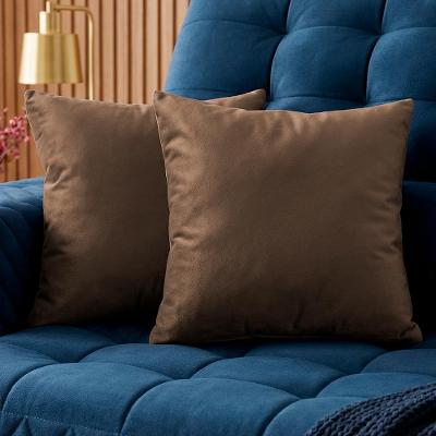 Almofadas Kit Plumie de 45x45cm 2 Uni Velusoft Castor Cama inBox