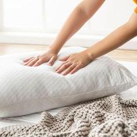 Travesseiro Home Style Ions de Prata 50cm x 70cm - 13