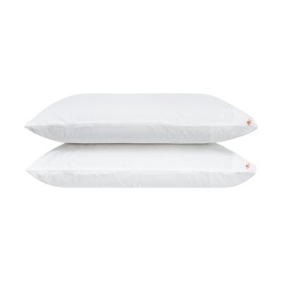 JG FRONHA LUMA 2PCS 70 x 50 CM NTGA HOME STYLE
