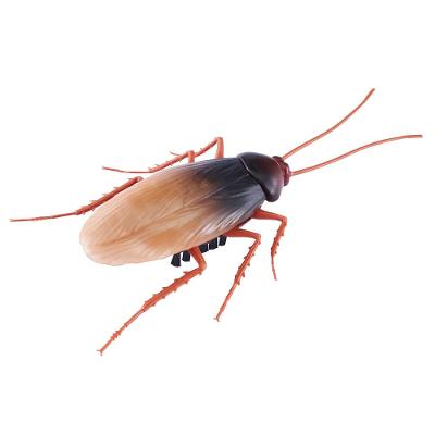 Barata Robótica Robo Alive