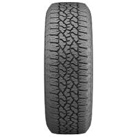 Pneu Goodyear Aro 16 Wrangler Workhorse AT 245/70R16 113T - 2