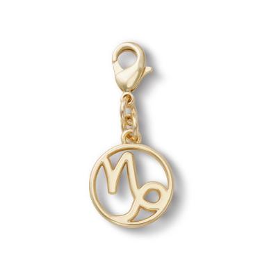 Jibbitz™ Pingente Signo Capricórnio
 Único