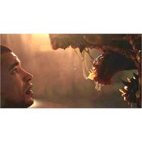 Jogo Xbox One The Callisto Protocol - 3