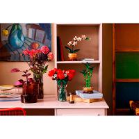 LEGO Botanicals Bambu da Sorte 325 Peças 10344 - 3