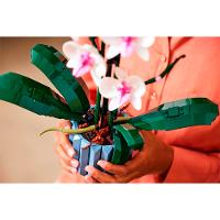 LEGO Botanicals Orquídea 608 Peças 10311