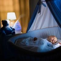 Umidificador de Ar Ultrassônico Fisher Price Branco - HC115