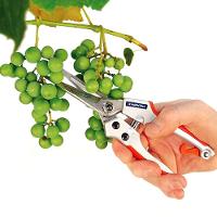 Tesoura de Raleio Tramontina Profissional - Laranja - 2