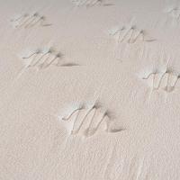 Colchão de Casal Hellen Dublin com Molas Ensacadas e Espuma D33 28x138x188cm - Bege - 3