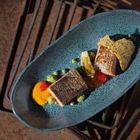 Conjunto de Travessas Ovais Grandes Porto Brasil Orgânico Night Sky 32x16cm - 4 Peças