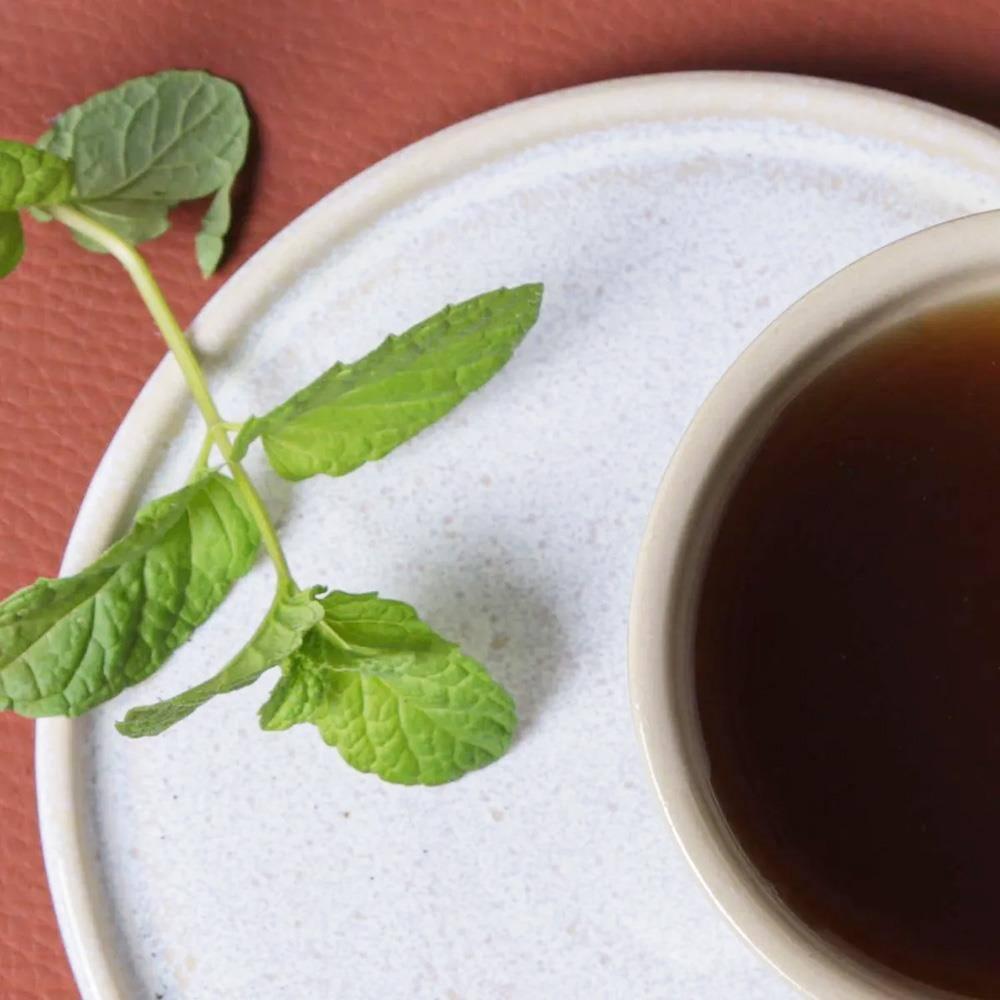 Conjunto de Xícaras de Chá com Pires Porto Brasil Neo Latte 210ml - 6 Peças - 3