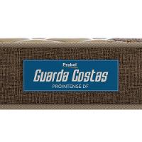 Colchão Solteirão Probel Guarda Costas Próintense DF Espuma D33 22x100x200cm - Bege/Marrom