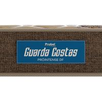 Colchão King Size Probel Guarda Costas Próintense DF Espuma D33 22x193x203cm - Bege/Marrom