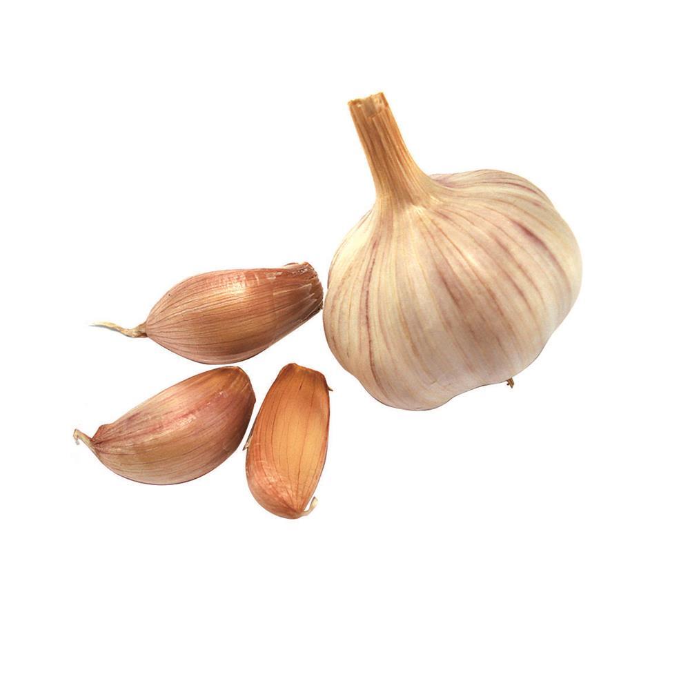 Espremedor de Alho Brinox Verona em ABS - 3