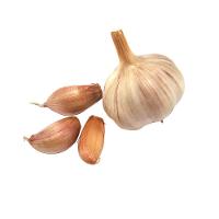 Espremedor de Alho Brinox Verona em ABS - 3