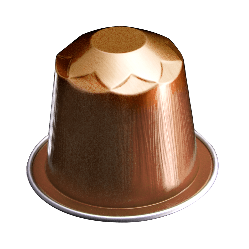 Cápsula de Café Compatíveis Nespresso® Chapada Diamantina Santa Clara - 2