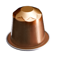 Cápsula de Café Compatíveis Nespresso® Chapada Diamantina Santa Clara - 2