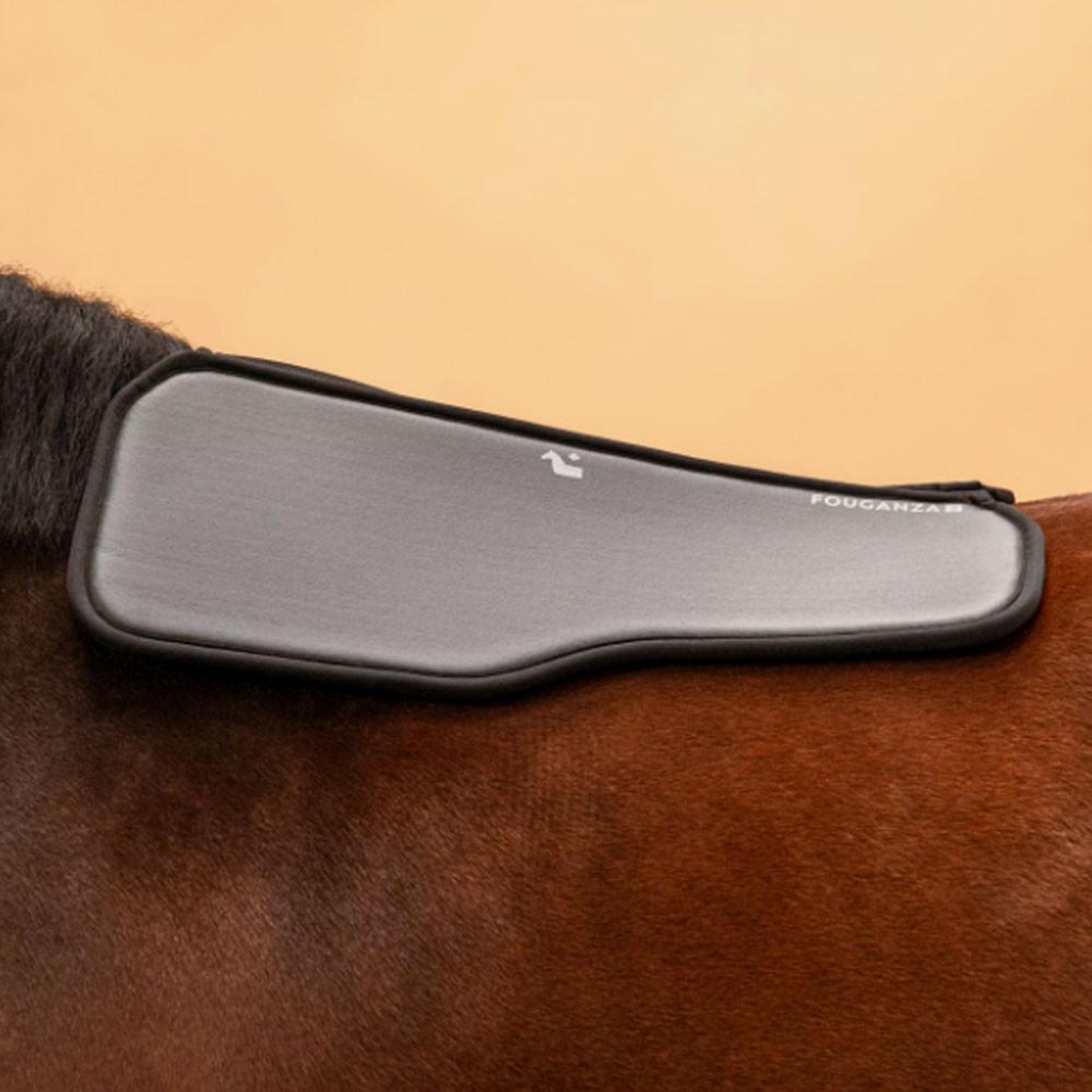 Protetor de Rim em Espuma Equitação Cavalo e Pónei - 9