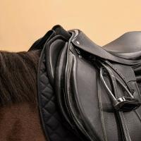 Protetor de Rim em Espuma Equitação Cavalo e Pónei - 8