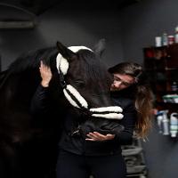 Cabresto de Hipismo com Pelego Fouganza - 9