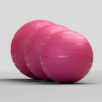 Bola de Ginástica e Pilates 55 Cm Tamanho 1 - 8