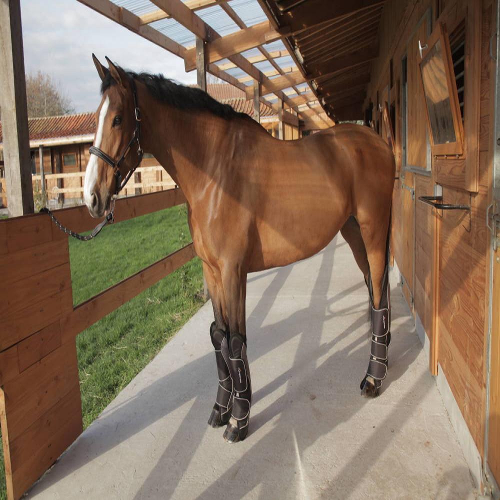 Protetor de viagem para Cavalo Hipismo 500 Fouganza - 5