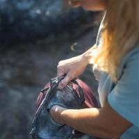 Saco de Magnesio de Escalada Big Locker Simond