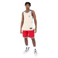 Regata Masculina de Basquete Reversivel T500 Tarmak - 3