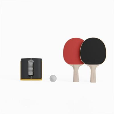 Conjunto de Ping Pong Rollnet para Pequenas Superfícies com 2 Raquetes PPR100 e 2 Bolas