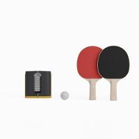 Conjunto de Ping Pong Rollnet para Pequenas Superfícies com 2 Raquetes PPR100 e 2 Bolas - 1