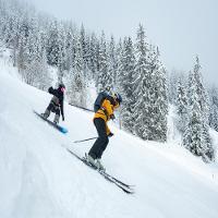 Calça Masculina de Ski e Snowboard SNB 100 Wedze - 7