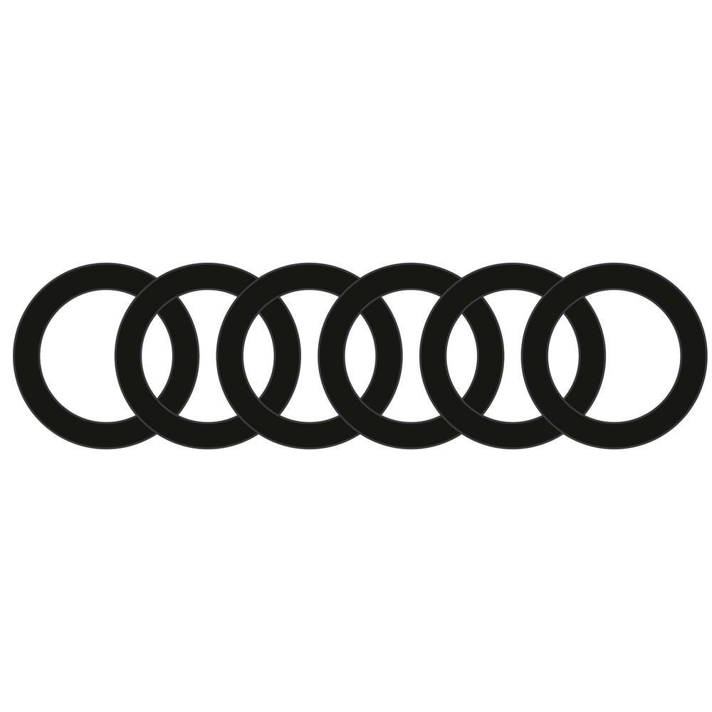 Elásticos de cabelo 6 un Domyos - 1