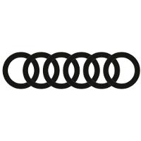 Elásticos de cabelo 6 un Domyos - 1