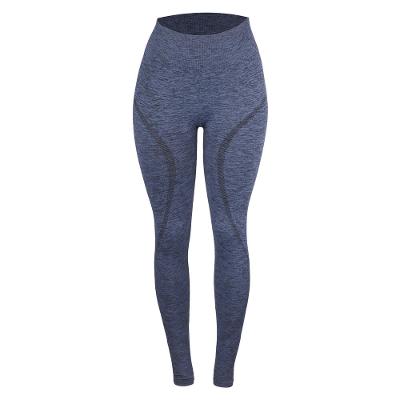 Legging Feminina de Treino sem Costura 500 Kimjaly