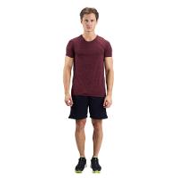 Camiseta Masculina de Treino Mesclada 510 Domyos - 2