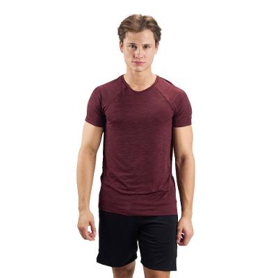Camiseta Masculina de Treino Mesclada 510 Domyos