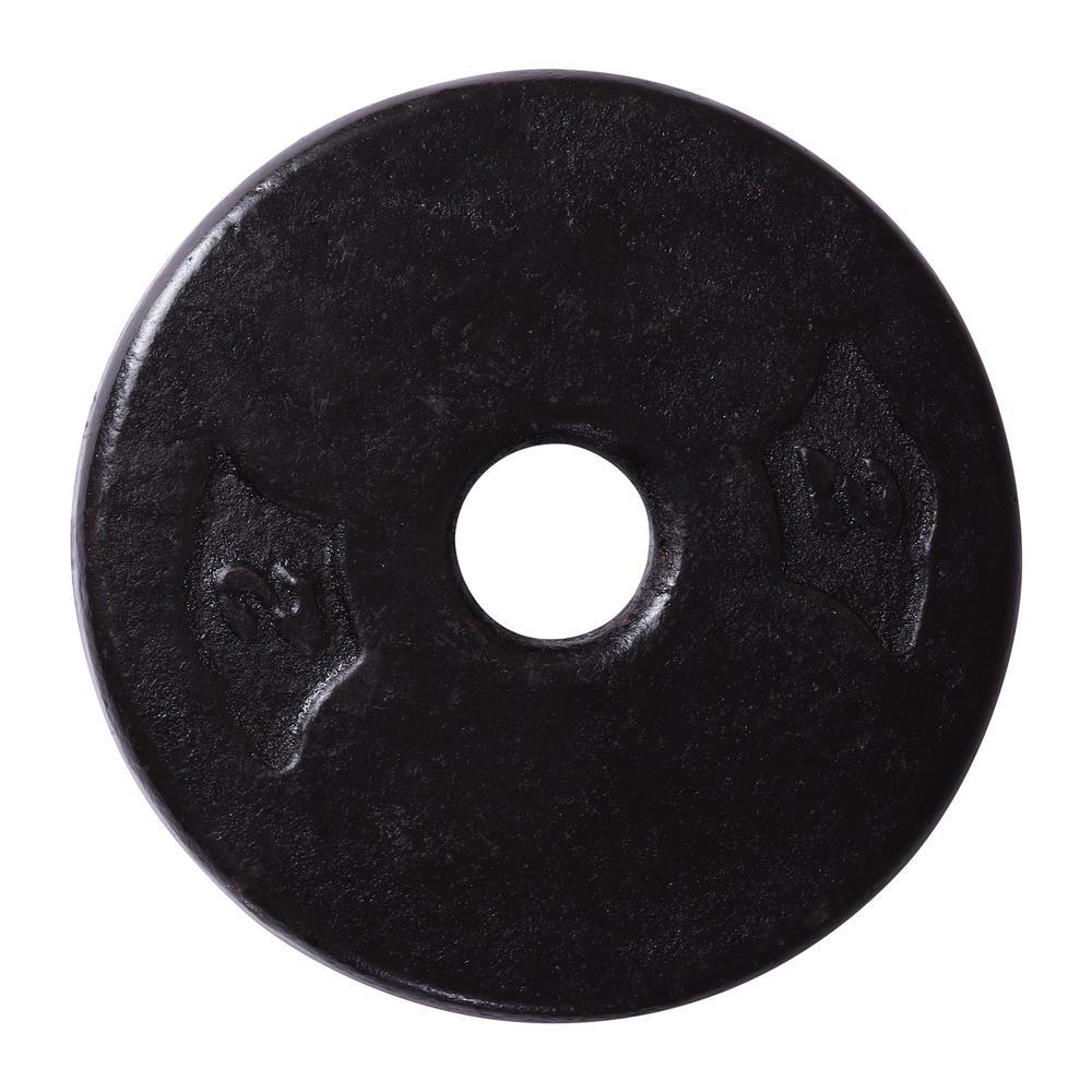 Anilha 2kg Ferro Fundido com Furo de 28mm Equilibrio Fitness - 1