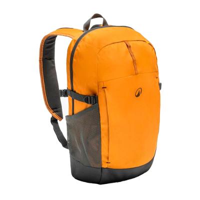 Mochila Caminhada Arpenaz 100 20L Quechua