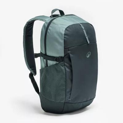 Mochila Caminhada Arpenaz 100 20L Quechua Verde