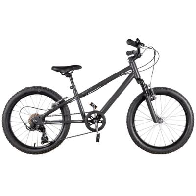 Bicicleta Infantil MTB Explore Aro 20 500 Rockrider