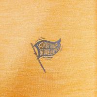 Camiseta Masculina de Lã Merino Trekking Travel 100 Forclaz - 5