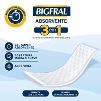 Absorvente Para Incontinência Descartável Bigfral Plus Regular 20 Unidades - 8