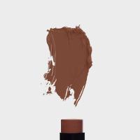 Ollie Bastão Multifuncional Fps 95 Cor #60 14g - 2