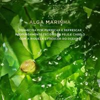 Shampoo Pantene Equilíbrio Raiz E Pontas 510ml - 3