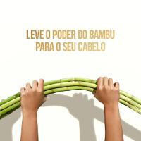 Shampoo Pantene Bambu 200ml - 3