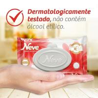 Lenço Umedecido Neve Toque De Seda Com 48 - 3