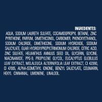 Shampoo Anticaspa Eucalipto Melaleuca Bio Booster Clear Men Controle E Alívio Coceira Frasco 400ml - 5