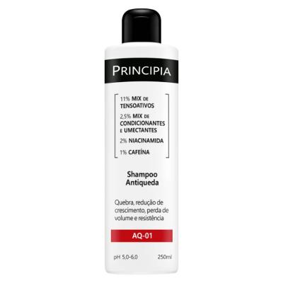 Shampoo Antiqueda Principia Aq-01 250ml