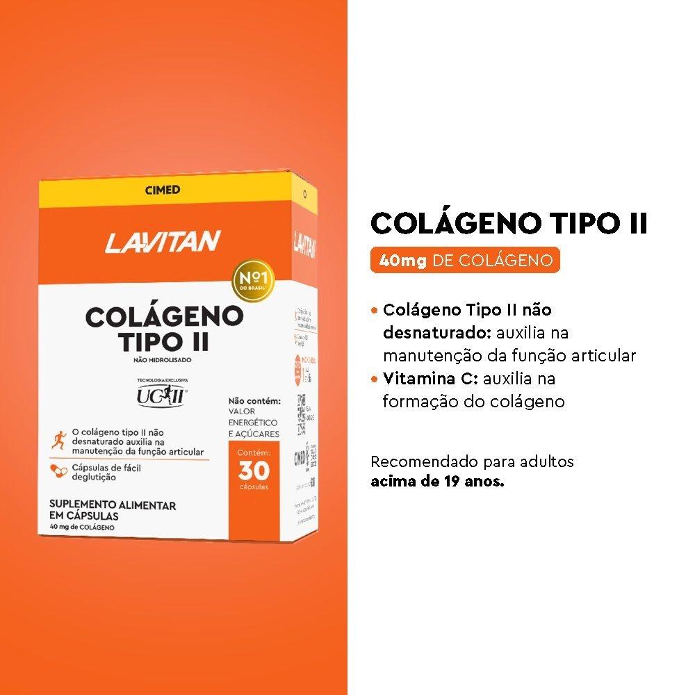 Suplemento Alimentar Lavitan Colágeno Tipo Ii Com 30 Cápsulas - 4