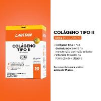 Suplemento Alimentar Lavitan Colágeno Tipo Ii Com 30 Cápsulas - 4