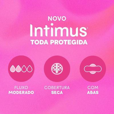Absorvente Externo Intimus Toda Protegida Cobertura Seca Com Abas 42 Unidades